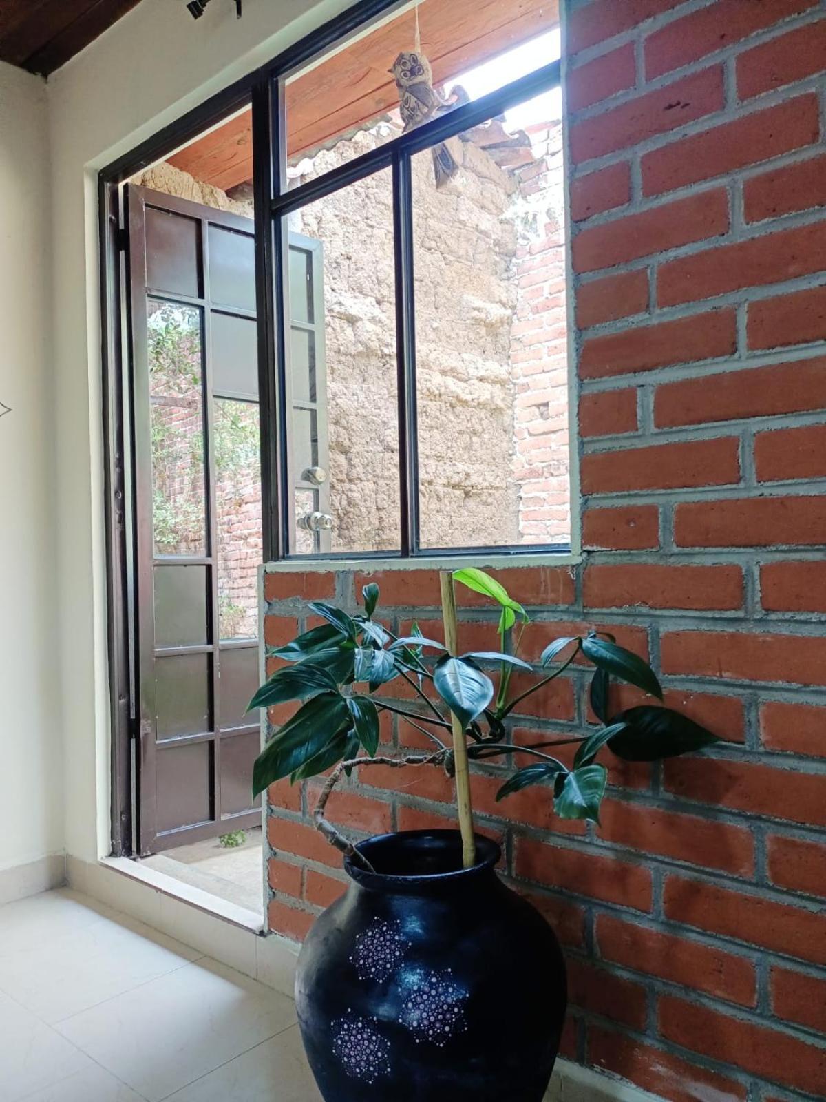 מלון San Cristóbal de Las Casas Casa Flor De Vida מראה חיצוני תמונה